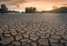 Klimawandel: Bundesregierung warnt vor Gefahren durch Hitzewellen